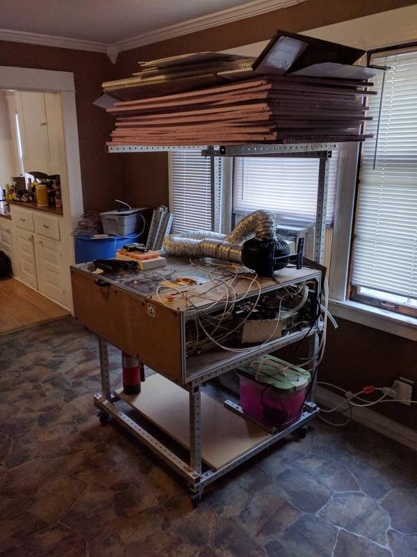 Laser cutter Laser cutter