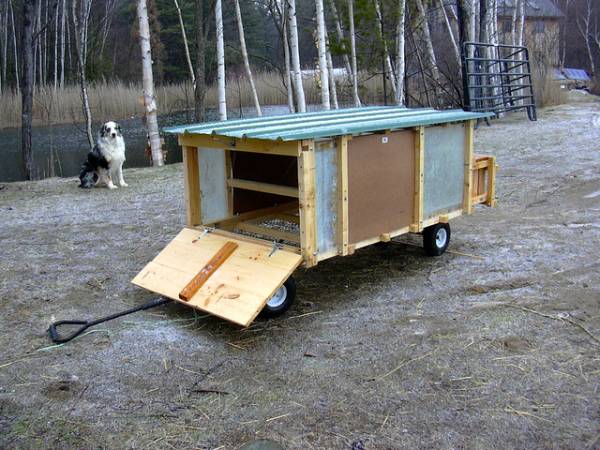Coop on wheels Coop on wheels