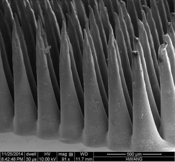 Laser ablated microwells Laser ablated microwells